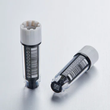 艾本德Eppendorf CryoStorage Vial，無(wú)菌, 無(wú)菌, 0.5 mL, 不含 DNase、RNase、人類(lèi) DNA 和內(nèi)毒素；外螺紋，預(yù)先加蓋灰色管蓋，帶 2D SafeCode 