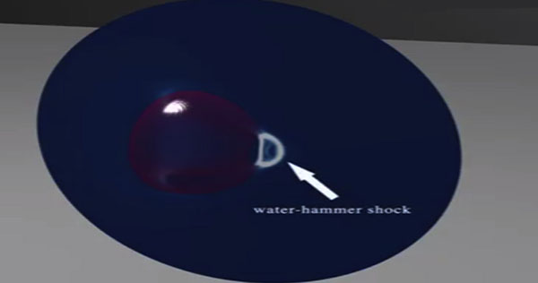 細胞結(jié)構(gòu)圖